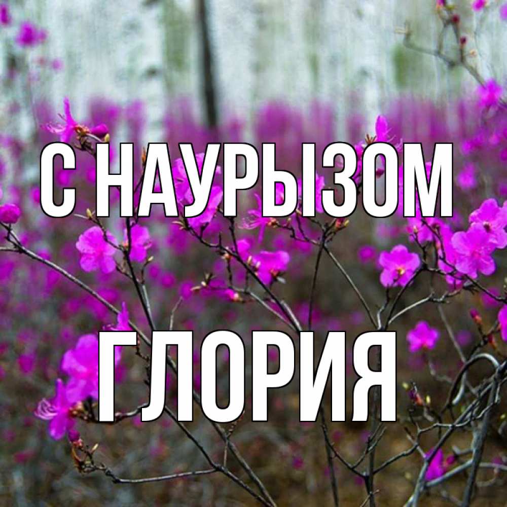 Открытка на каждый день с именем, Глория С наурызом дикие цветы Прикольная открытка с пожеланием онлайн скачать бесплатно 
