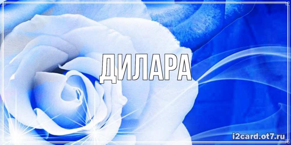 Открытка на каждый день с именем, Дилара Главная белая роза на голубом фоне Прикольная открытка с пожеланием онлайн скачать бесплатно 
