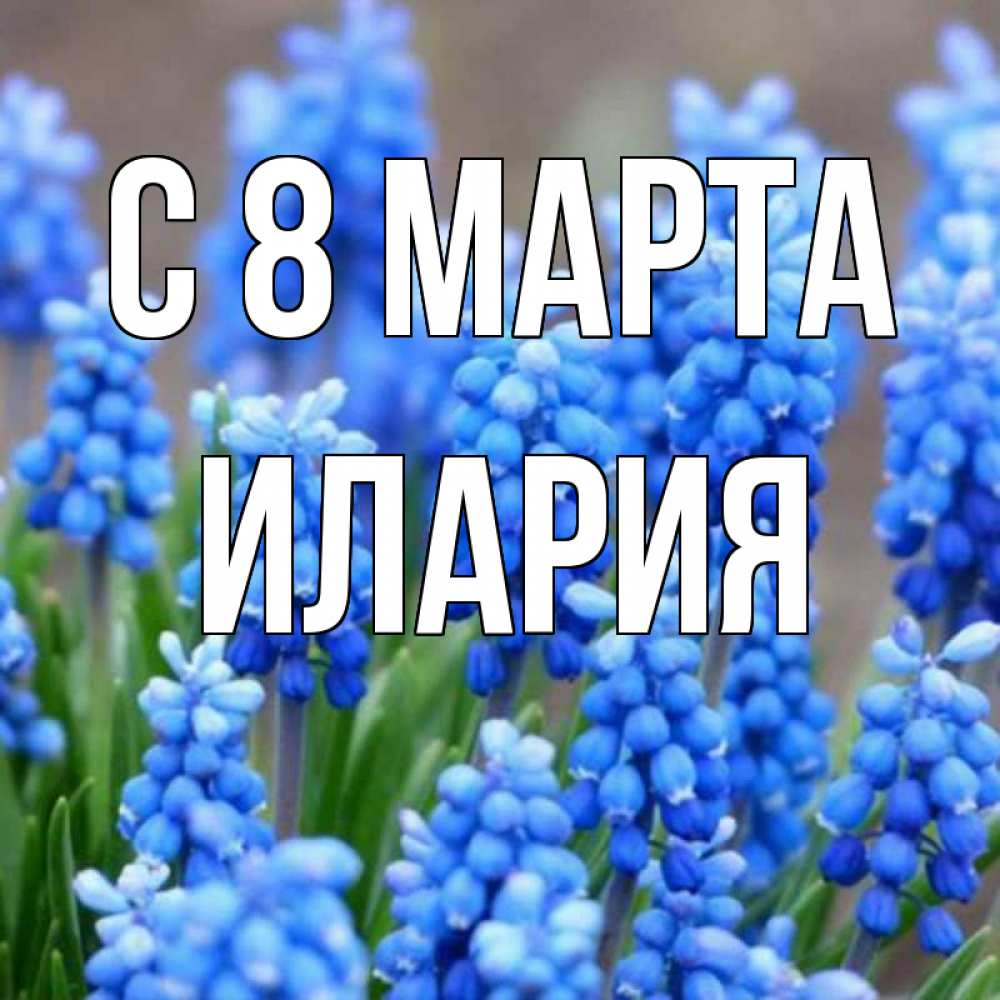Открытка на каждый день с именем, Илария С 8 МАРТА Поздравительная открытка для женщин с цветами на праздничную дату Прикольная открытка с пожеланием онлайн скачать бесплатно 