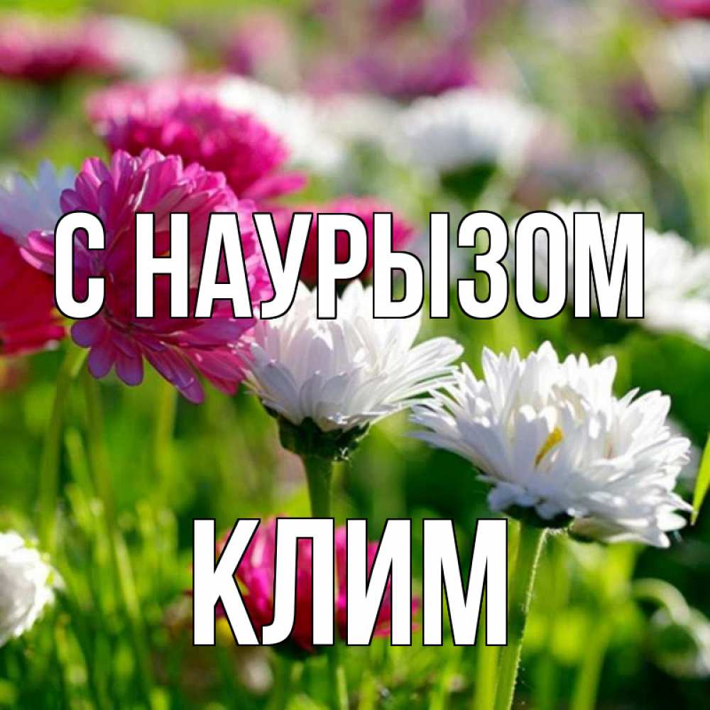 Открытка на каждый день с именем, Клим С наурызом праздник весны наурыз красота Прикольная открытка с пожеланием онлайн скачать бесплатно 