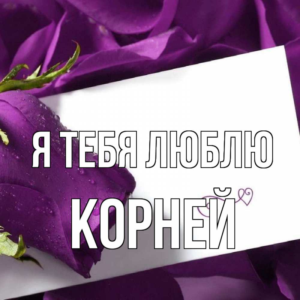 Открытка на каждый день с именем, Корней Я тебя люблю роза Прикольная открытка с пожеланием онлайн скачать бесплатно 