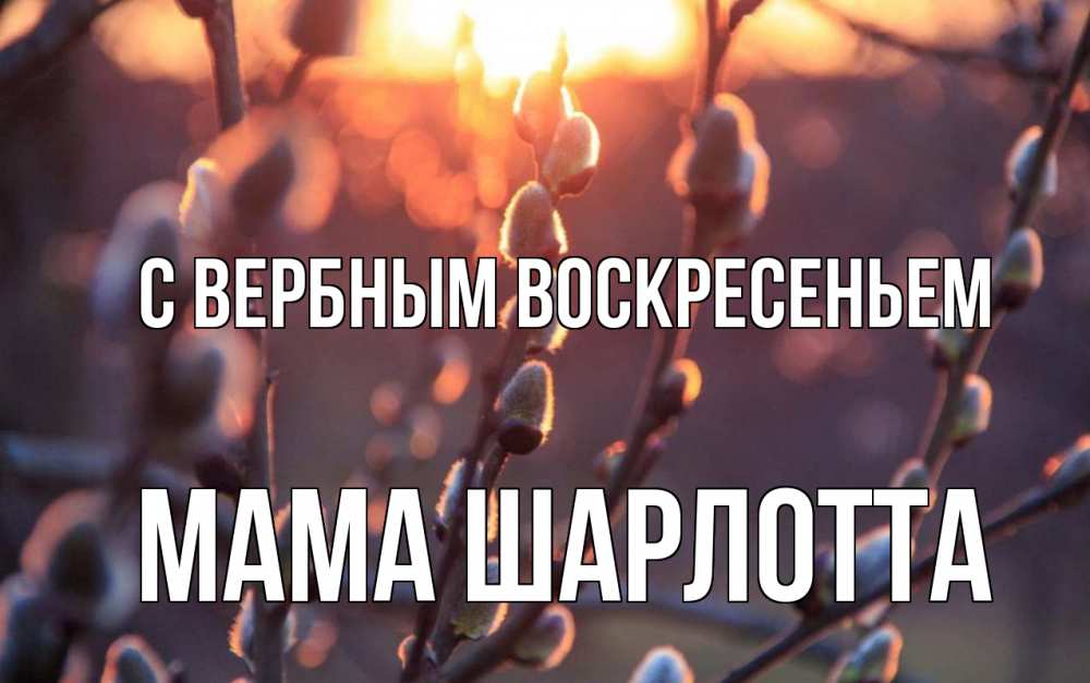 Открытка на каждый день с именем, Мама-Шарлотта С вербным воскресеньем верба Прикольная открытка с пожеланием онлайн скачать бесплатно 