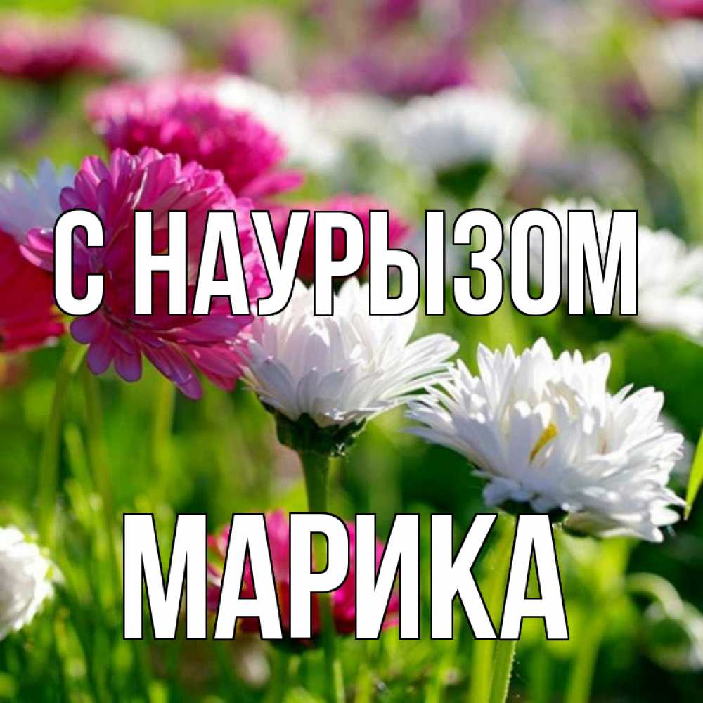 Открытка на каждый день с именем, Марика С наурызом праздник весны наурыз красота Прикольная открытка с пожеланием онлайн скачать бесплатно 