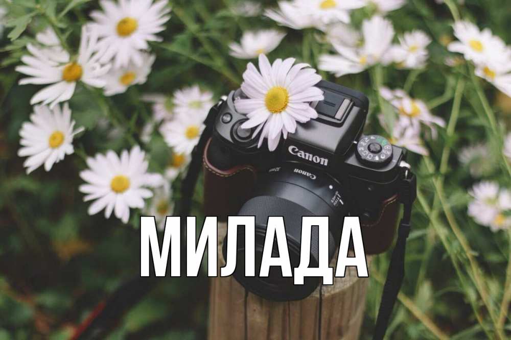 Открытка на каждый день с именем, Милада Главная с днем фотографа Прикольная открытка с пожеланием онлайн скачать бесплатно 