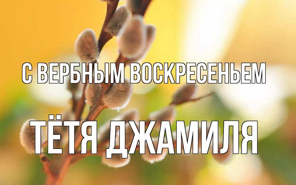 Открытка на каждый день с именем, Тётя-Джамиля С вербным воскресеньем верба Прикольная открытка с пожеланием онлайн скачать бесплатно 