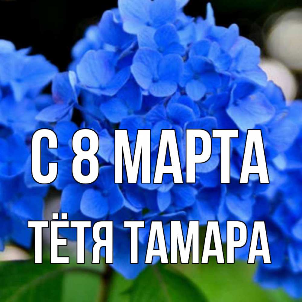 Открытка на каждый день с именем, Тётя-Тамара С 8 МАРТА синие цветы Прикольная открытка с пожеланием онлайн скачать бесплатно 