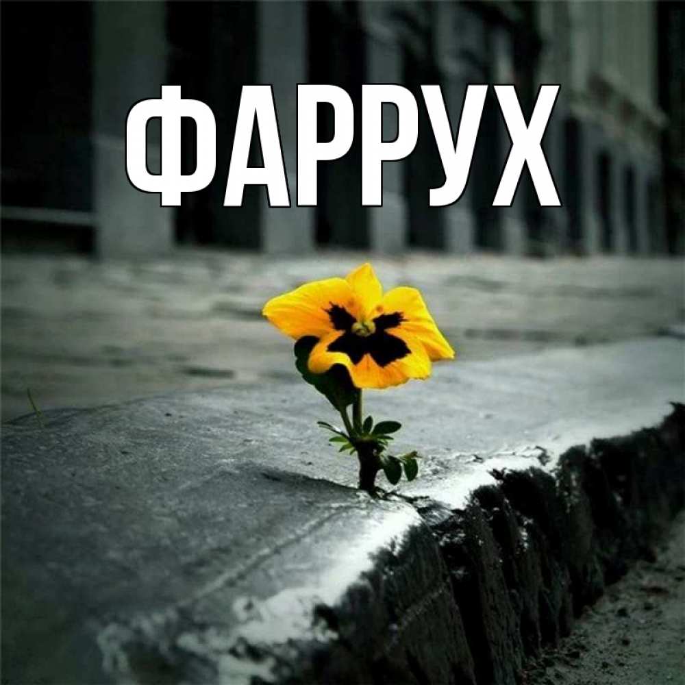 Открытка на каждый день с именем, Фаррух Главная надеюсь будет лучше Прикольная открытка с пожеланием онлайн скачать бесплатно 