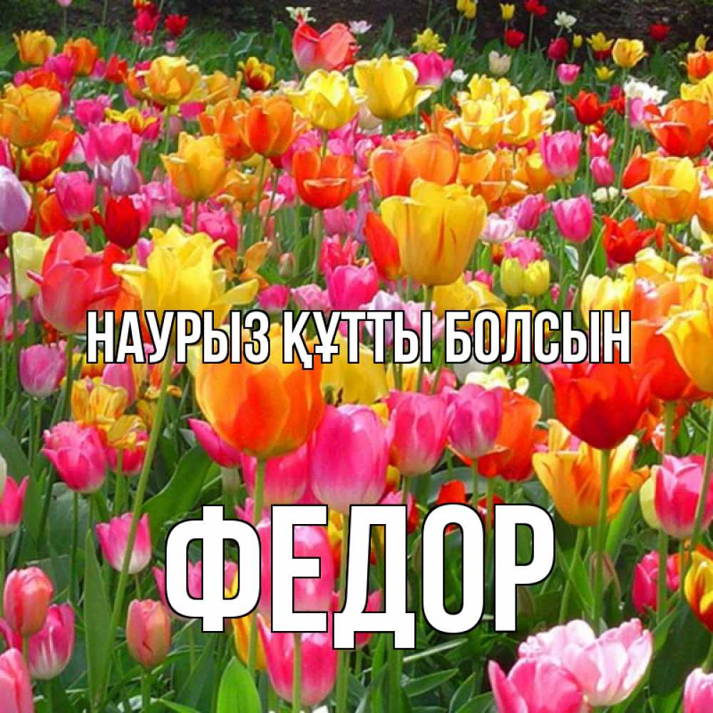 Открытка на каждый день с именем, Федор Наурыз құтты болсын на наурыз  ура ура Прикольная открытка с пожеланием онлайн скачать бесплатно 