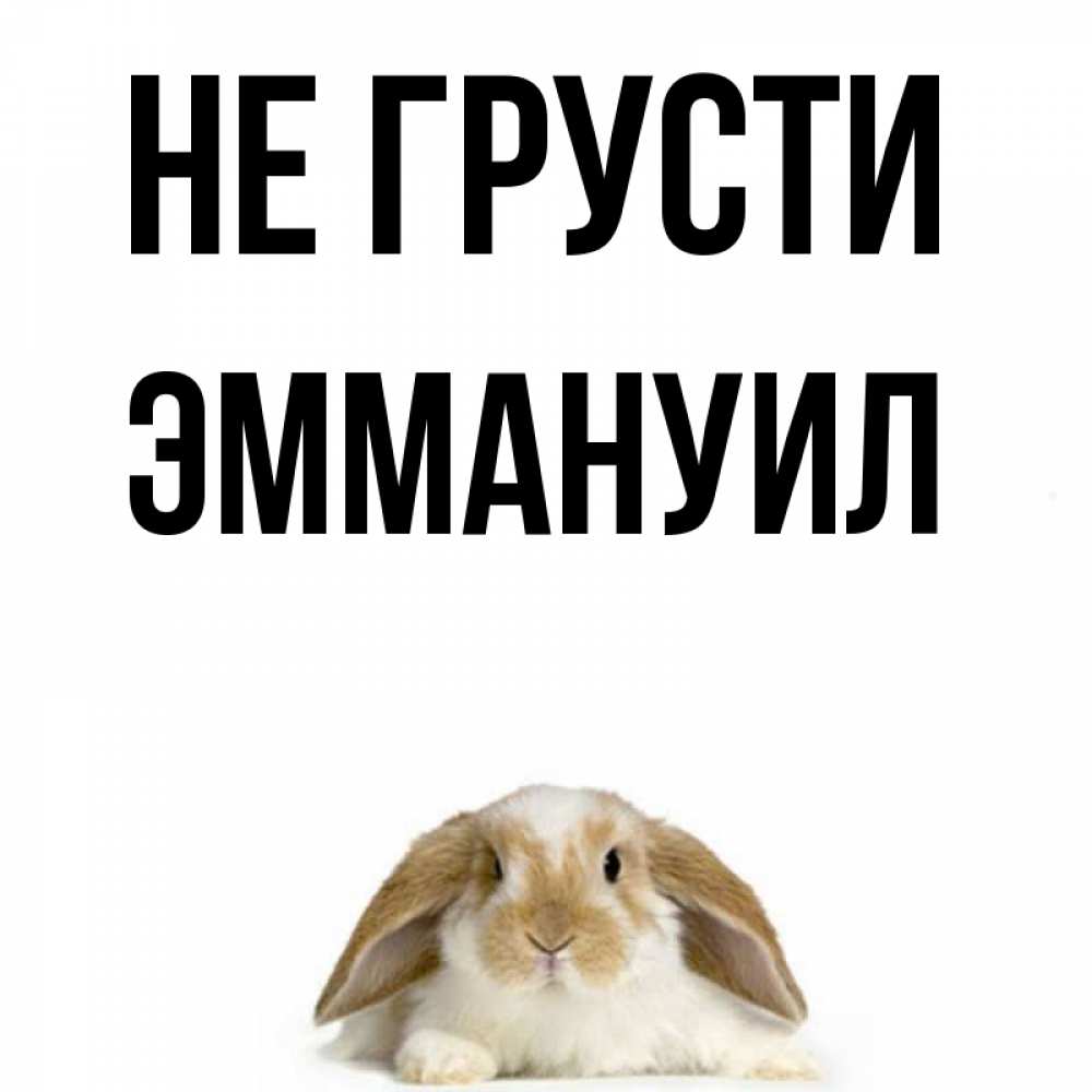 Открытка на каждый день с именем, Эммануил Не грусти коричнево белый заяц с большими ушками Прикольная открытка с пожеланием онлайн скачать бесплатно 