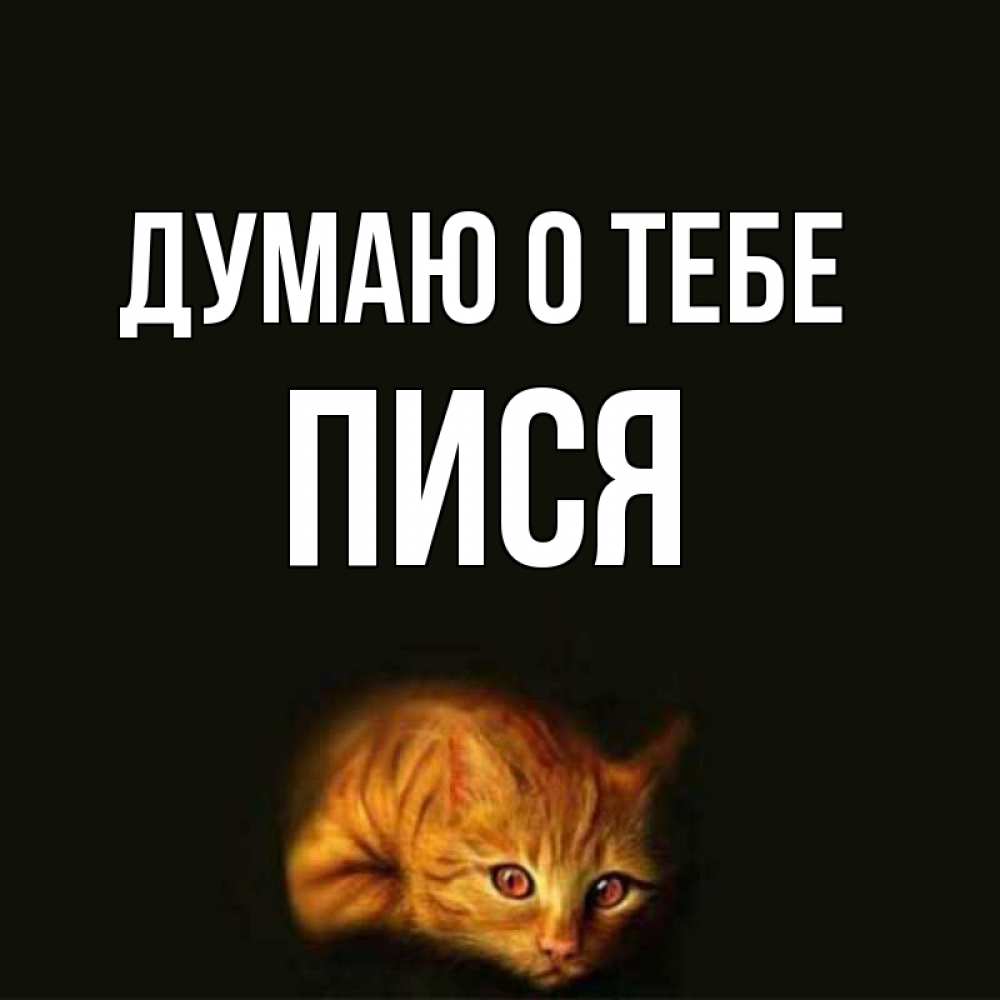 Открытка на каждый день с именем, пися Думаю о тебе рыжий Прикольная открытка с пожеланием онлайн скачать бесплатно 