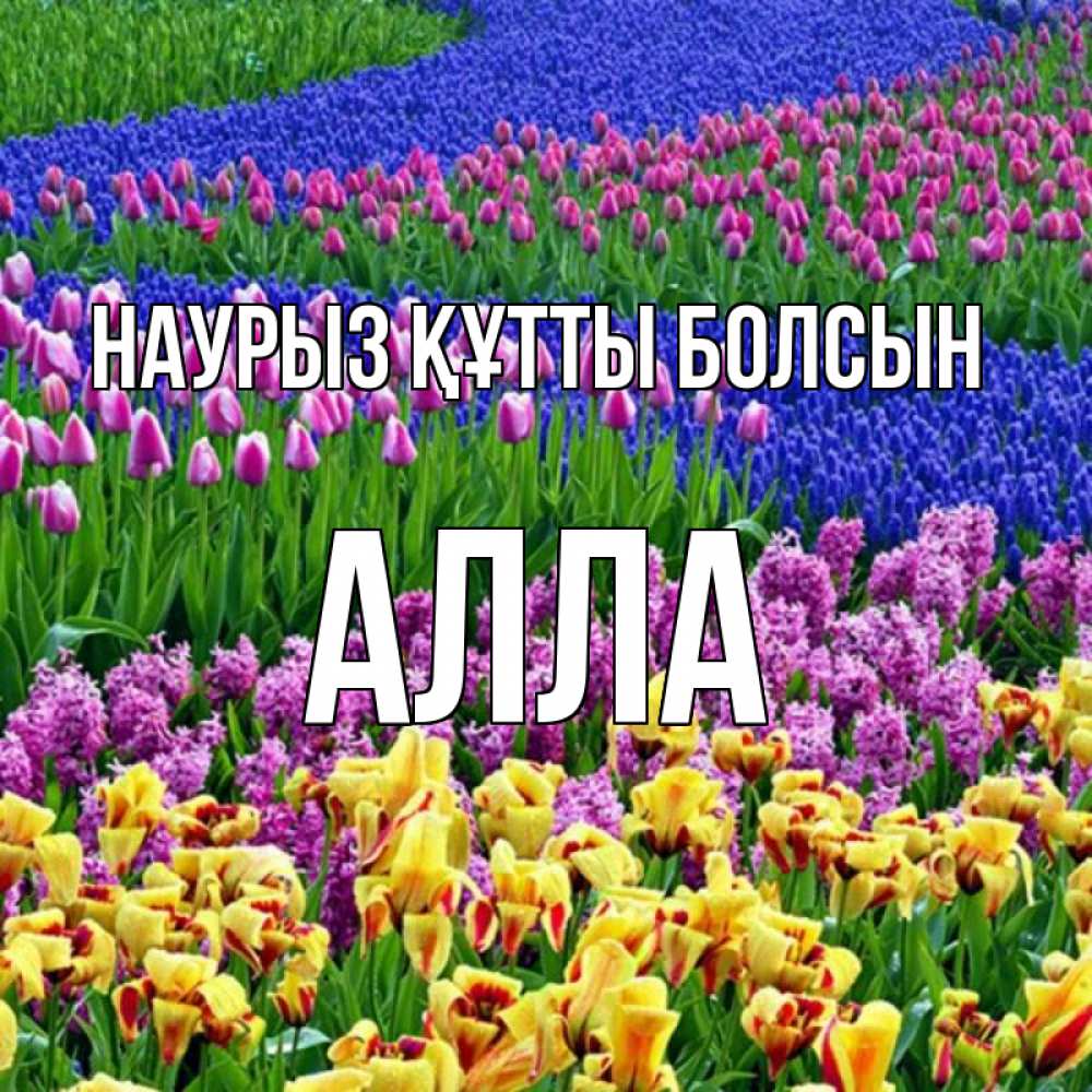 Открытка на каждый день с именем, Алла Наурыз құтты болсын цветы Прикольная открытка с пожеланием онлайн скачать бесплатно 