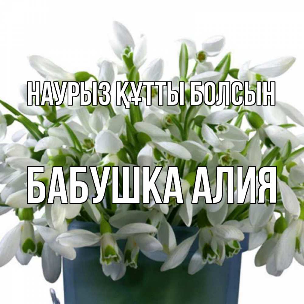 Открытка на каждый день с именем, Бабушка-Алия Наурыз құтты болсын цветы к наурызу Прикольная открытка с пожеланием онлайн скачать бесплатно 
