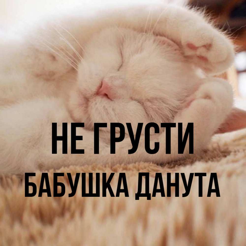 Открытка на каждый день с именем, Бабушка-Данута Не грусти Котенок спит Прикольная открытка с пожеланием онлайн скачать бесплатно 