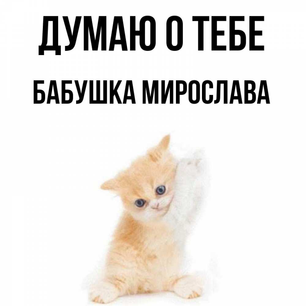 Открытка на каждый день с именем, Бабушка-Мирослава Думаю о тебе зверушки и милота Прикольная открытка с пожеланием онлайн скачать бесплатно 
