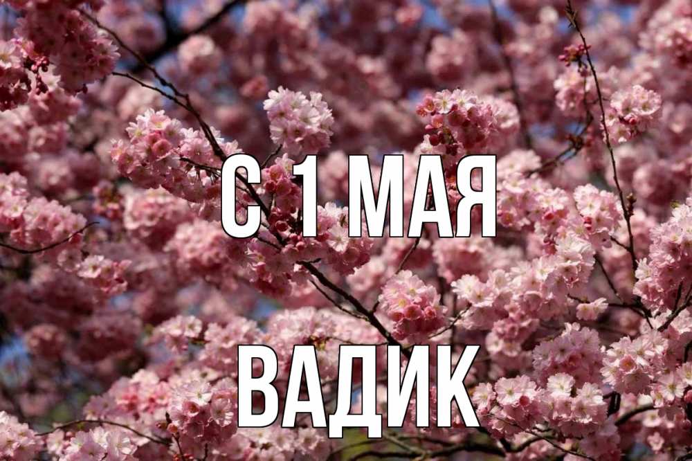 Открытка на каждый день с именем, Вадик С 1 мая С 1 мая Прикольная открытка с пожеланием онлайн скачать бесплатно 