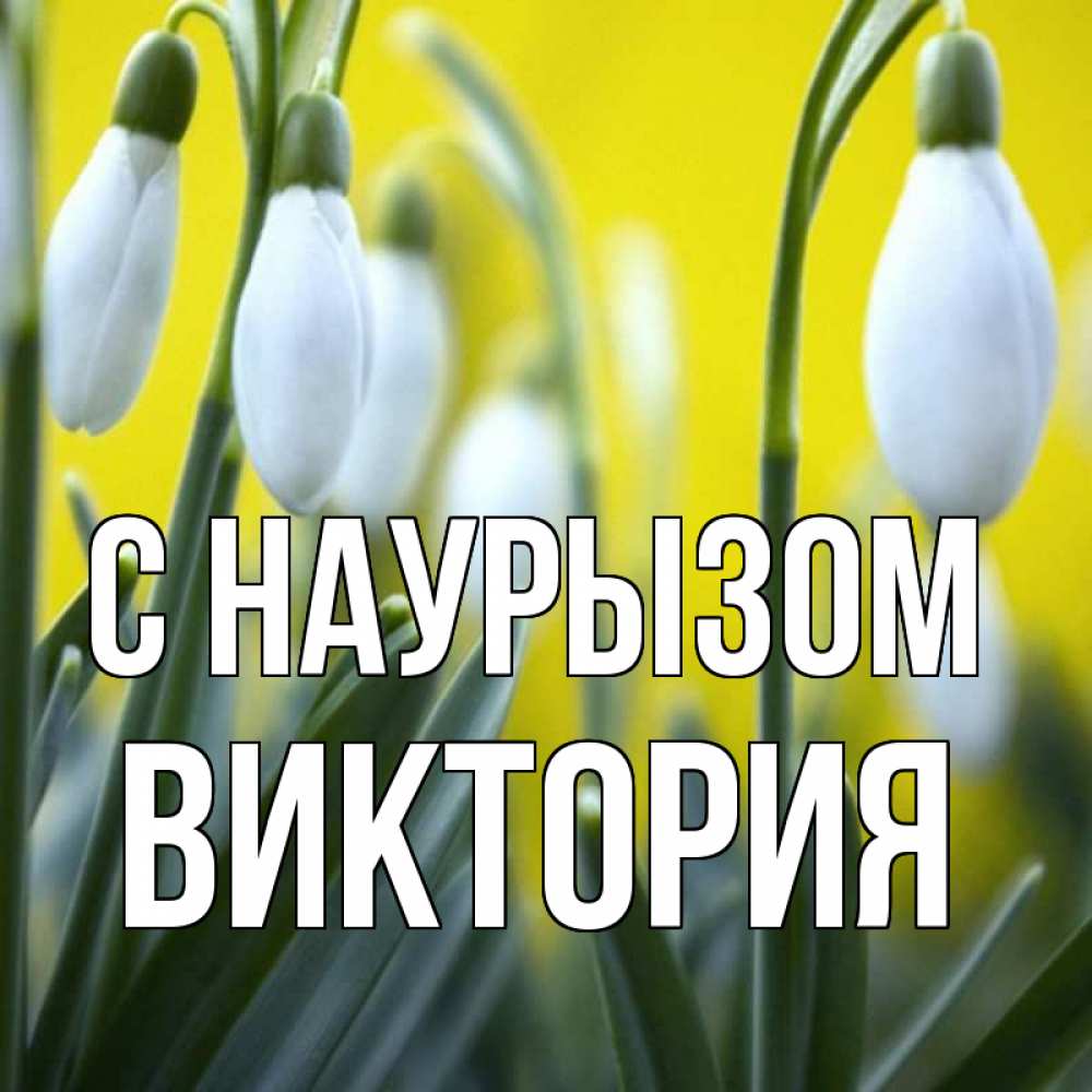 Открытка на каждый день с именем, Виктория С наурызом весенние цветы Прикольная открытка с пожеланием онлайн скачать бесплатно 