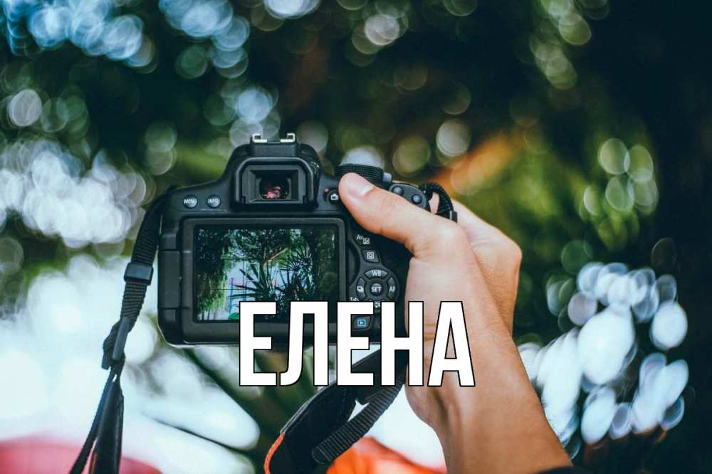 Открытка на каждый день с именем, Елена Главная с днем фотографа Прикольная открытка с пожеланием онлайн скачать бесплатно 
