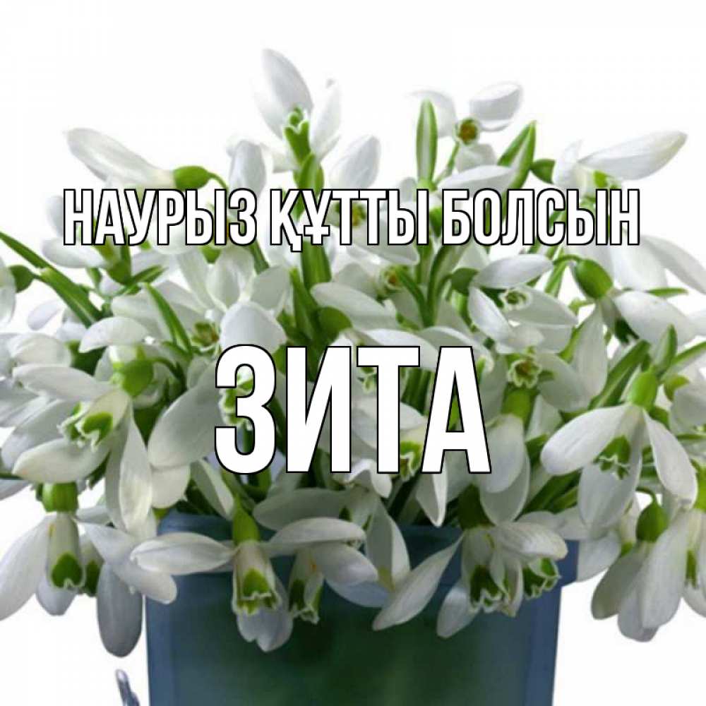 Открытка на каждый день с именем, Зита Наурыз құтты болсын цветы к наурызу Прикольная открытка с пожеланием онлайн скачать бесплатно 
