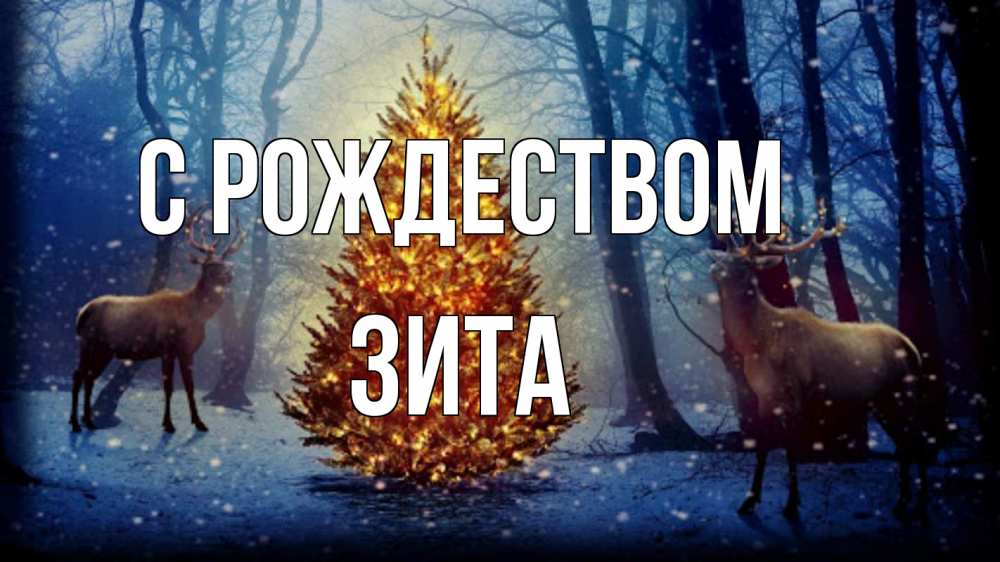 Открытка на каждый день с именем, Зита С рождеством олени, новогодняя елка Прикольная открытка с пожеланием онлайн скачать бесплатно 