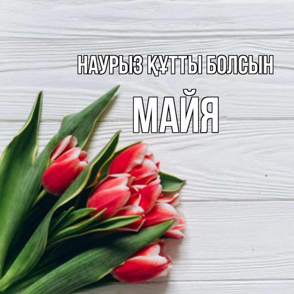 Открытка на каждый день с именем, Майя Наурыз құтты болсын весна 2 Прикольная открытка с пожеланием онлайн скачать бесплатно 