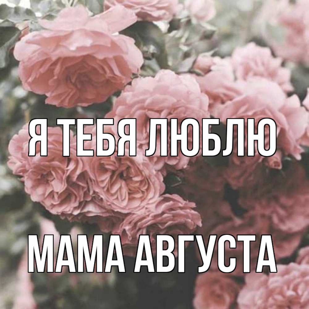Открытка на каждый день с именем, Мама-Августа Я тебя люблю розы 3 Прикольная открытка с пожеланием онлайн скачать бесплатно 