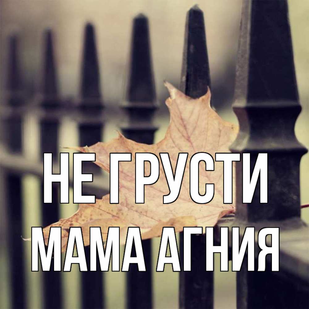 Открытка на каждый день с именем, Мама-Агния Не грусти лист клена Прикольная открытка с пожеланием онлайн скачать бесплатно 