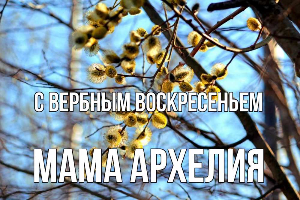 Открытка на каждый день с именем, Мама-Архелия С вербным воскресеньем верба Прикольная открытка с пожеланием онлайн скачать бесплатно 