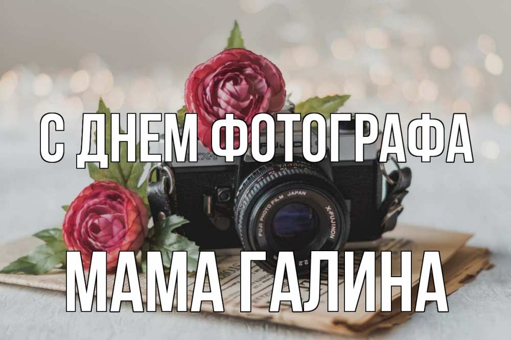 Открытка на каждый день с именем, Мама-Галина С днем фотографа с днем фотографа Прикольная открытка с пожеланием онлайн скачать бесплатно 