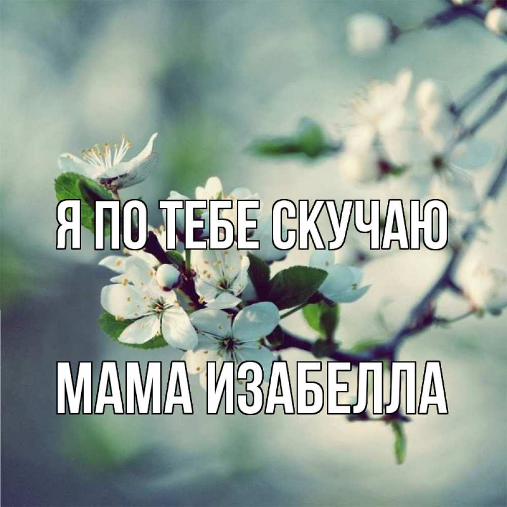 Открытка на каждый день с именем, Мама-Изабелла Я по тебе скучаю весна Прикольная открытка с пожеланием онлайн скачать бесплатно 