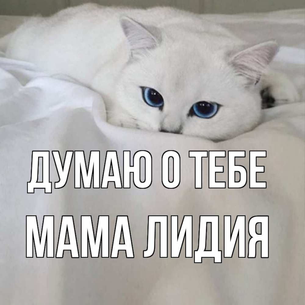 Открытка на каждый день с именем, Мама-Лидия Думаю о тебе я очень по тебе скучаю и тоскую Прикольная открытка с пожеланием онлайн скачать бесплатно 