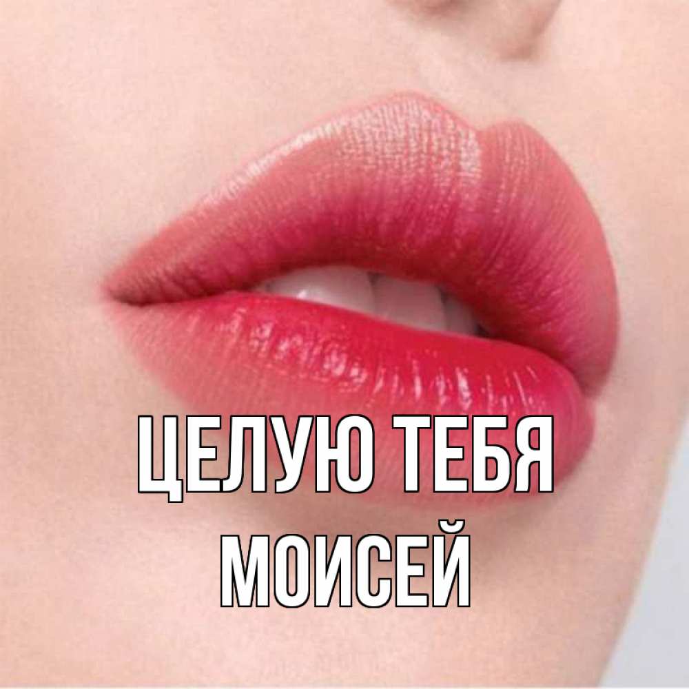 Открытка на каждый день с именем, Моисей Целую тебя губы зубки и нежная кожа Прикольная открытка с пожеланием онлайн скачать бесплатно 