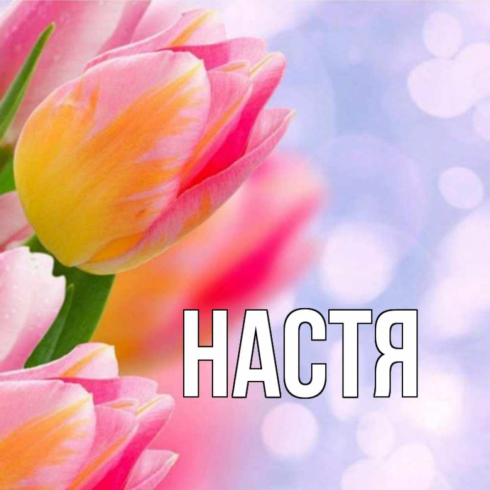 Открытка на каждый день с именем, Настя Главная тюльпаны 2 Прикольная открытка с пожеланием онлайн скачать бесплатно 