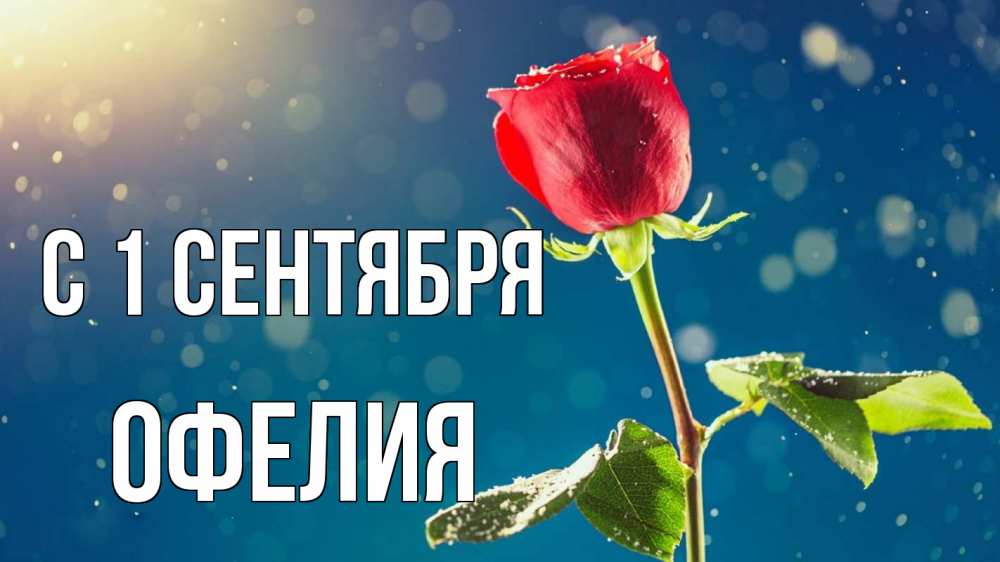 Открытка на каждый день с именем, Офелия С 1 сентября с днем знаний Прикольная открытка с пожеланием онлайн скачать бесплатно 