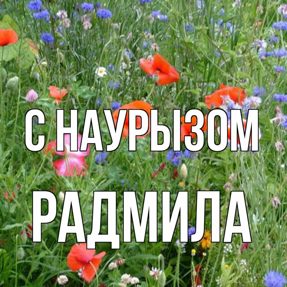 Открытка на каждый день с именем, Радмила С наурызом праздник весны наурыз супер открытка Прикольная открытка с пожеланием онлайн скачать бесплатно 