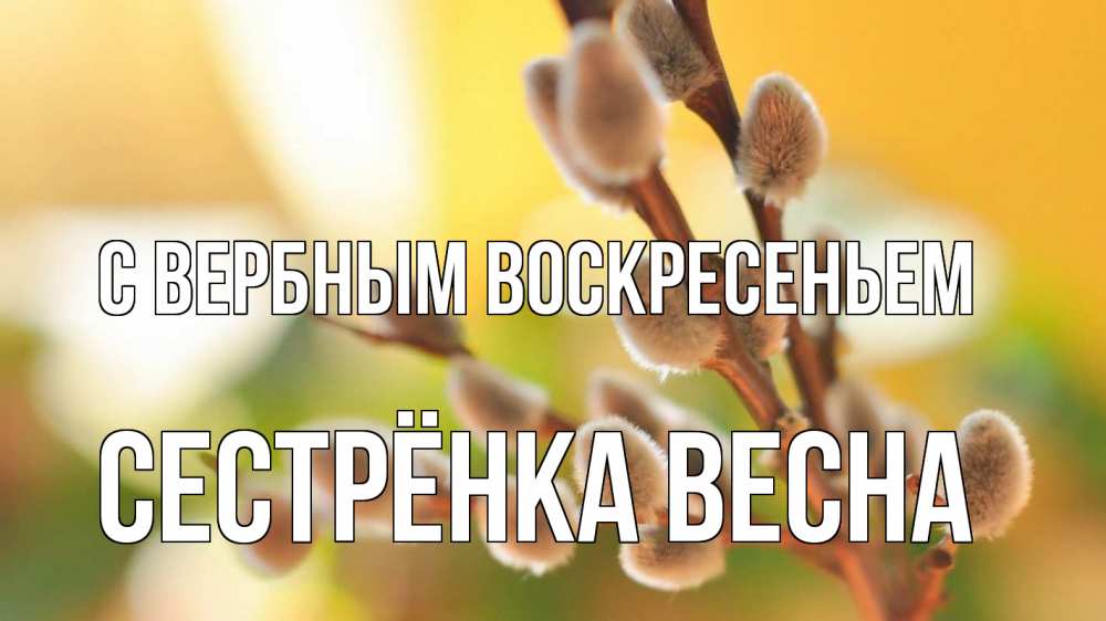 Открытка на каждый день с именем, Сестрёнка-Весна С вербным воскресеньем верба 1 Прикольная открытка с пожеланием онлайн скачать бесплатно 