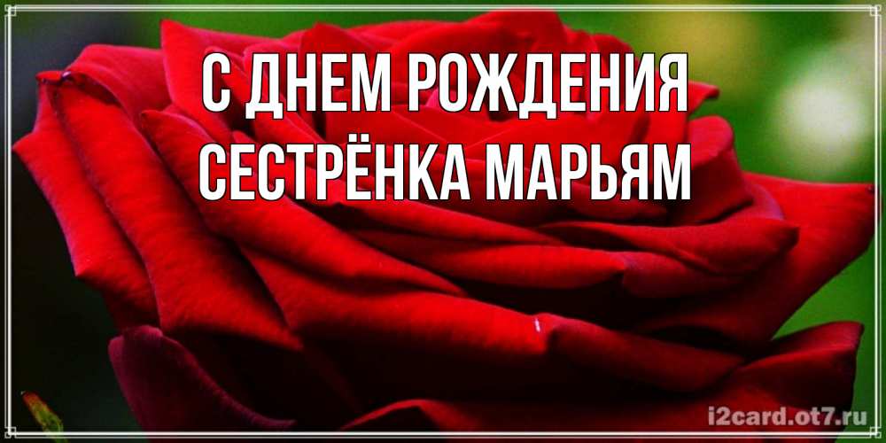 Открытка на каждый день с именем, Сестрёнка-Марьям С днем рождения розочка очень красивая Прикольная открытка с пожеланием онлайн скачать бесплатно 