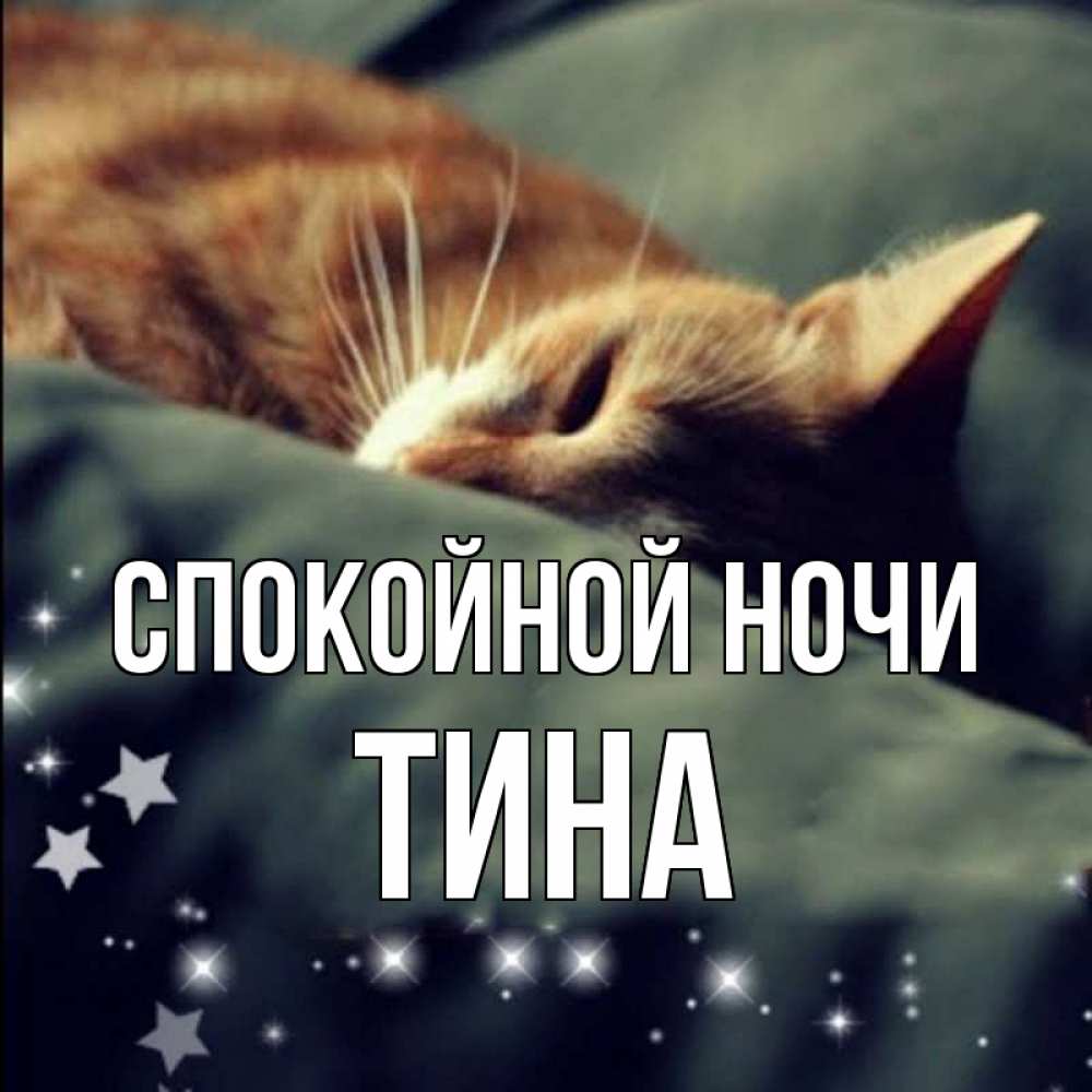 Открытка на каждый день с именем, Тина Спокойной ночи кроватка Прикольная открытка с пожеланием онлайн скачать бесплатно 