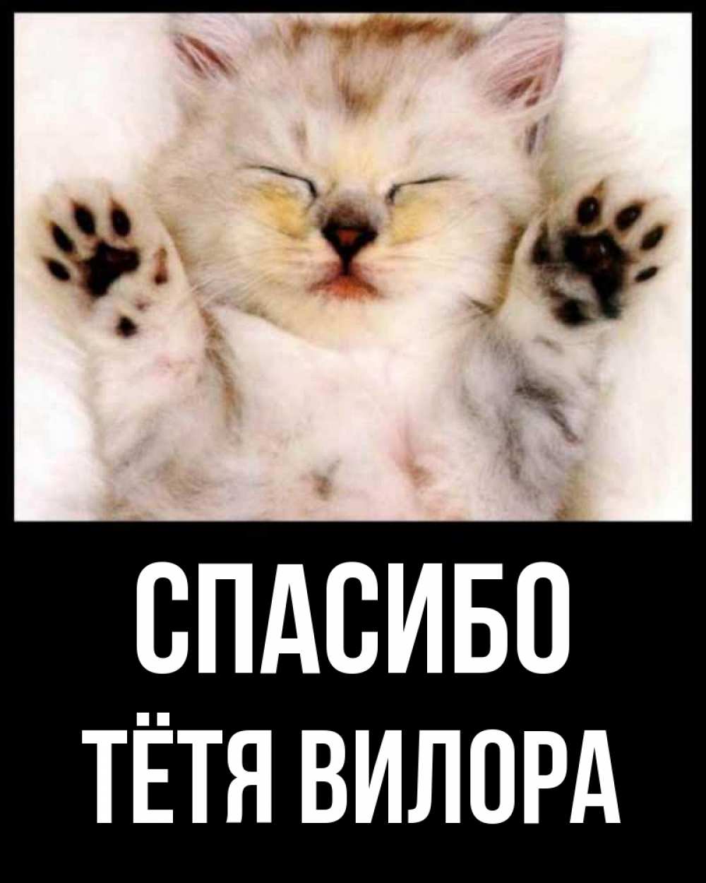 Открытка на каждый день с именем, Тётя-Вилора Спасибо маленький котенок Прикольная открытка с пожеланием онлайн скачать бесплатно 