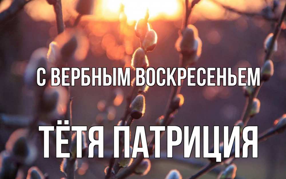 Открытка на каждый день с именем, Тётя-Патриция С вербным воскресеньем верба Прикольная открытка с пожеланием онлайн скачать бесплатно 