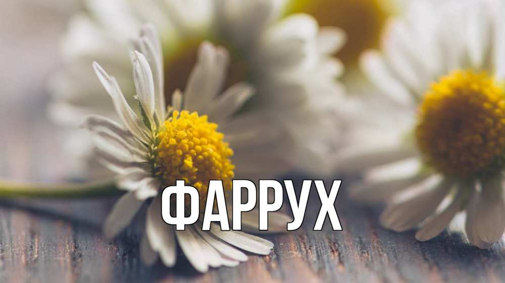 Открытка на каждый день с именем, Фаррух Главная с днем семьи Прикольная открытка с пожеланием онлайн скачать бесплатно 