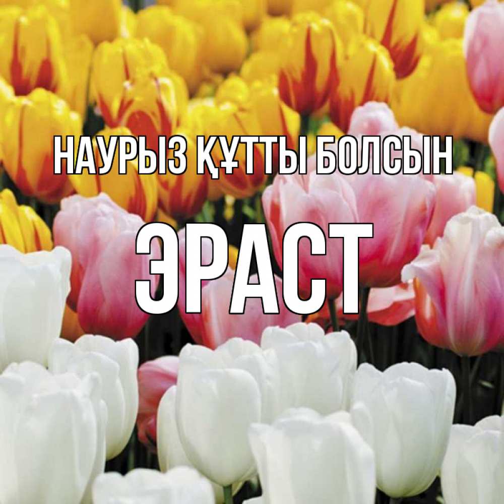Открытка на каждый день с именем, Эраст Наурыз құтты болсын разноцветные цветы Прикольная открытка с пожеланием онлайн скачать бесплатно 