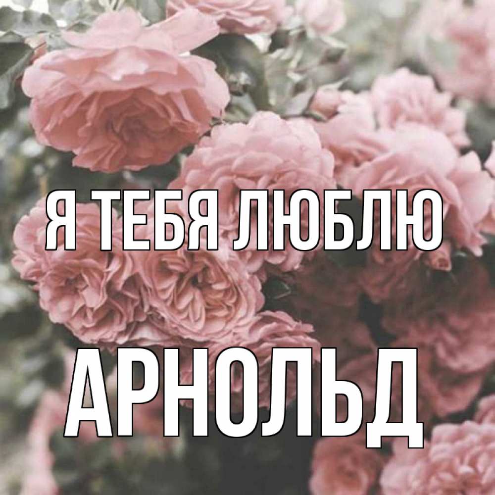 Открытка на каждый день с именем, Арнольд Я тебя люблю розы 3 Прикольная открытка с пожеланием онлайн скачать бесплатно 