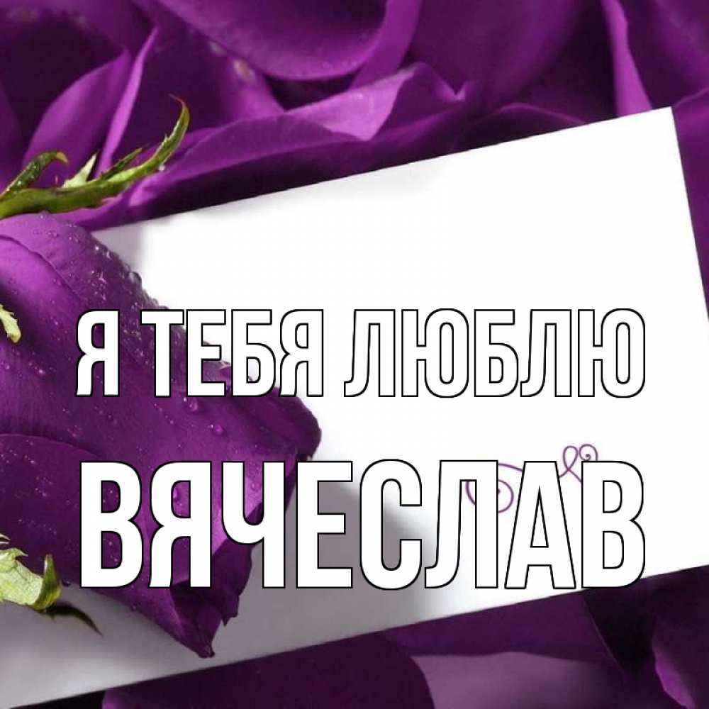 Открытка на каждый день с именем, Вячеслав Я тебя люблю роза Прикольная открытка с пожеланием онлайн скачать бесплатно 