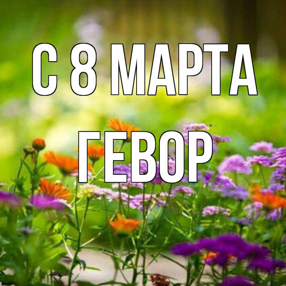 Открытка на каждый день с именем, Гевор С 8 МАРТА цветы Прикольная открытка с пожеланием онлайн скачать бесплатно 