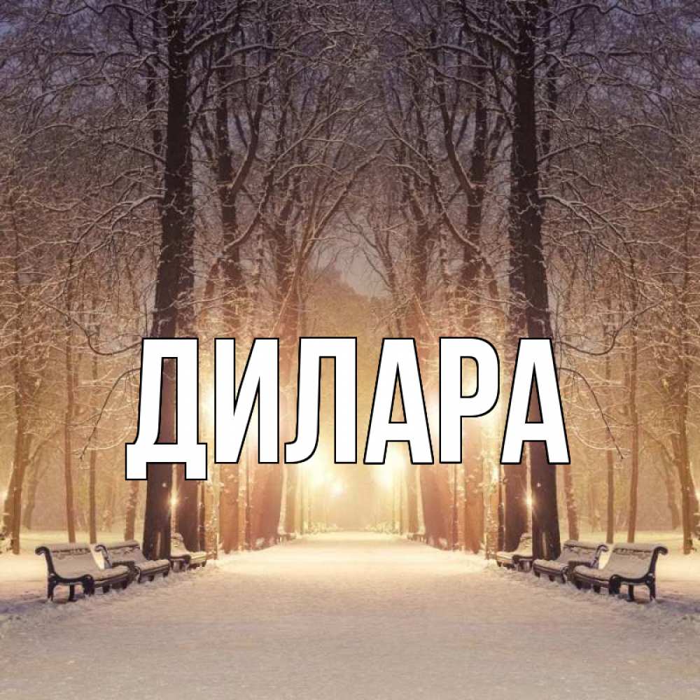 Открытка на каждый день с именем, Дилара Главная зима, парк, фонарь, лес Прикольная открытка с пожеланием онлайн скачать бесплатно 
