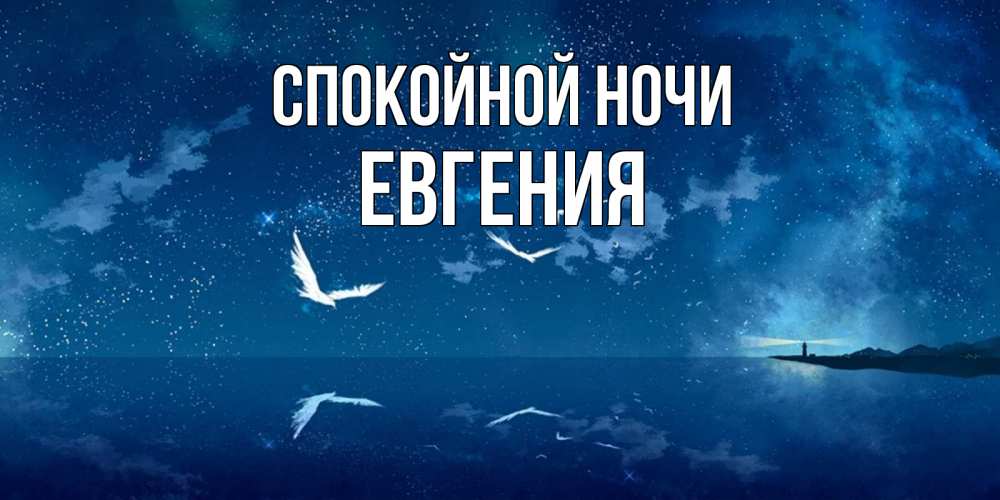 Открытка на каждый день с именем, Евгения Спокойной ночи птицы летят на фоне ночного неба Прикольная открытка с пожеланием онлайн скачать бесплатно 