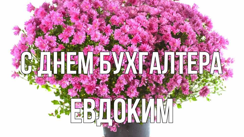 Открытка на каждый день с именем, Евдоким С днем бухгалтера с днем бухгалтера Прикольная открытка с пожеланием онлайн скачать бесплатно 