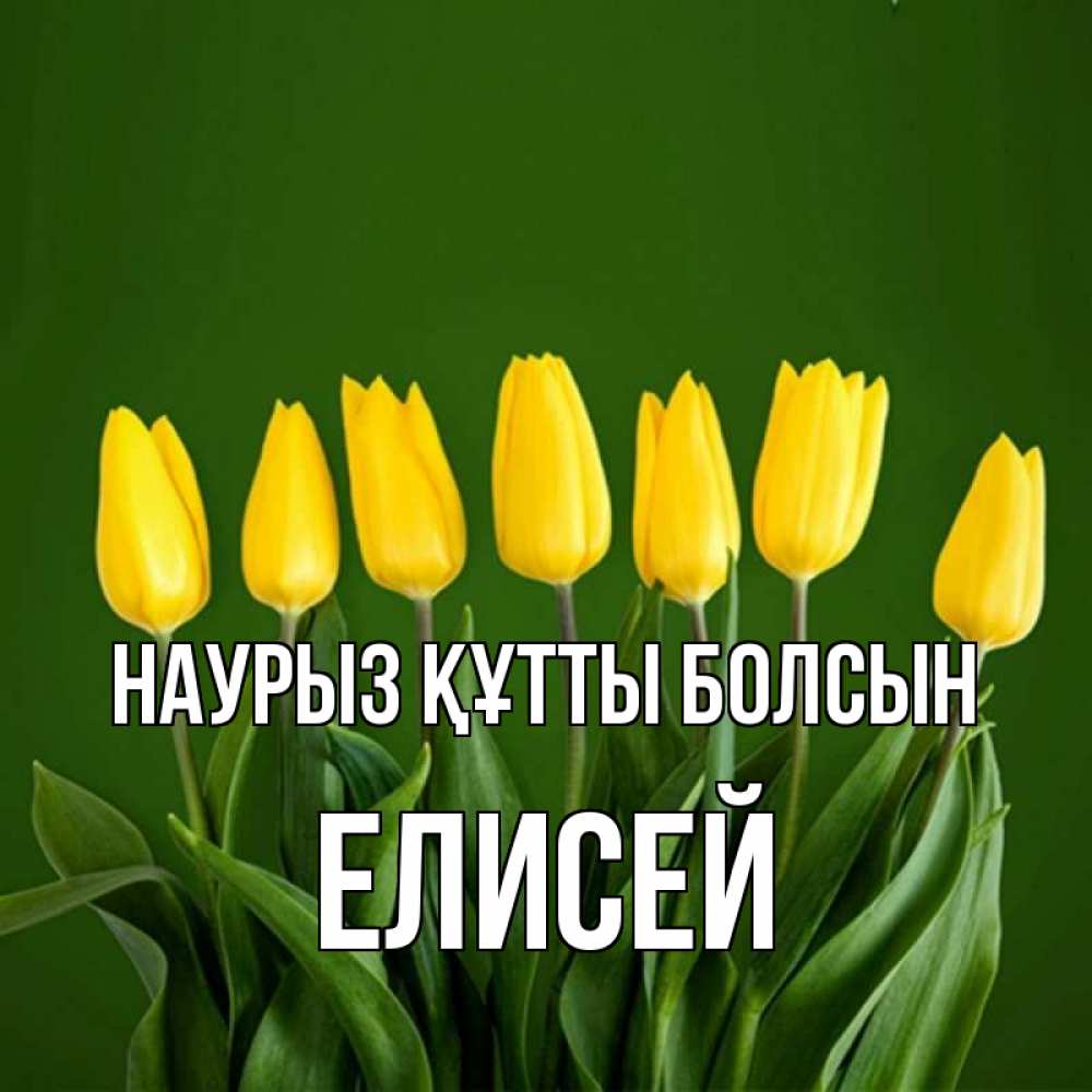 Открытка на каждый день с именем, Елисей Наурыз құтты болсын желтого цвета 3 Прикольная открытка с пожеланием онлайн скачать бесплатно 