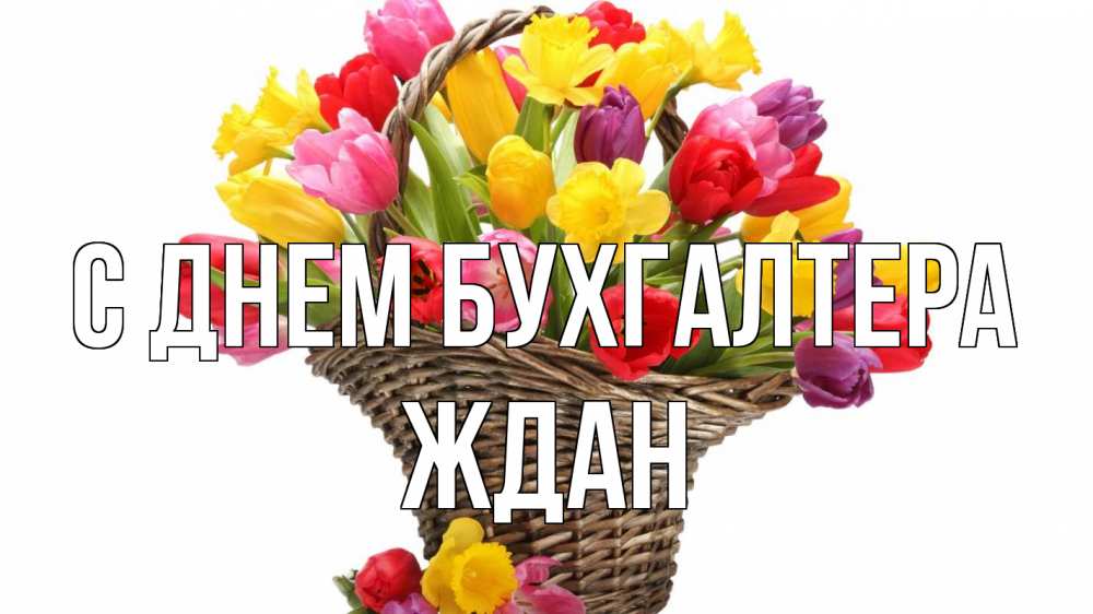 Открытка на каждый день с именем, Ждан С днем бухгалтера с днем бухгалтера Прикольная открытка с пожеланием онлайн скачать бесплатно 