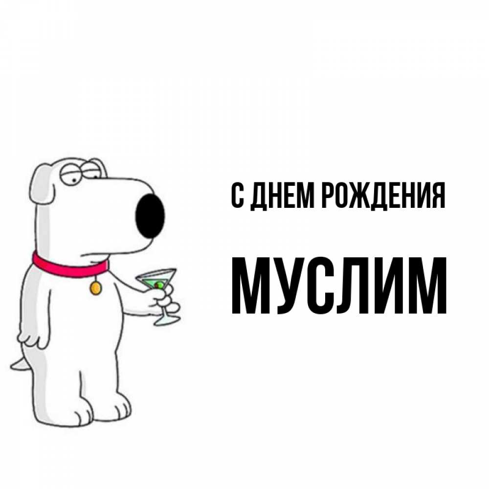 Открытка на каждый день с именем, МУСЛИМ С днем рождения песик с оливками Прикольная открытка с пожеланием онлайн скачать бесплатно 